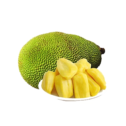Jack fruits Ripe Medium Size Each